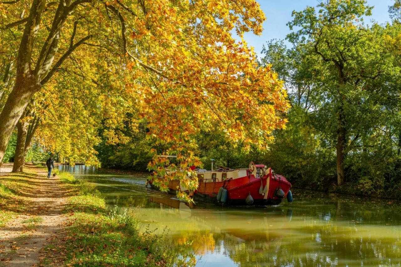 Le Dallas - 1 Chambre, 1 Canape-Lit, 1Er Etage, Parking, 10Min Canal Du Midi Кастельсарразен Экстерьер фото